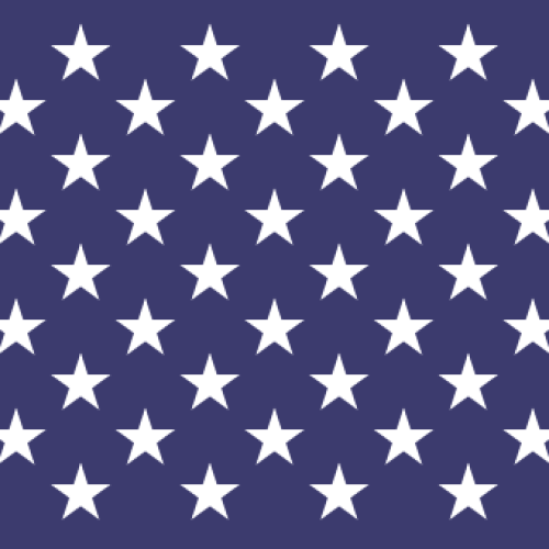 480px-Naval_jack_of_the_United_States.svg